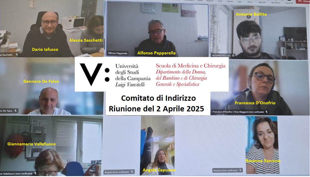 Foto_Comitato_di_Indirizzo_CLIP_2025.png